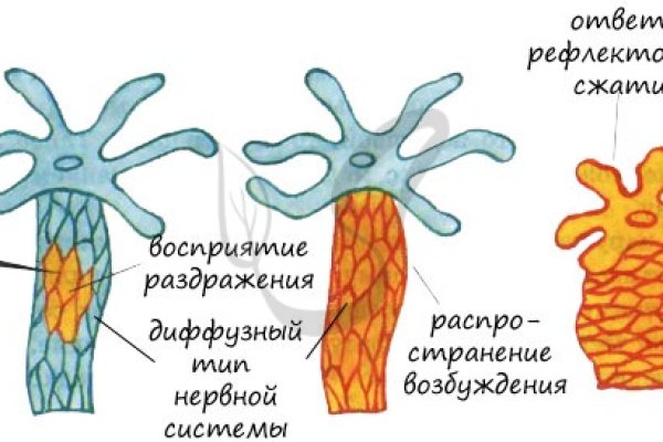 Кракен kr2web in что это