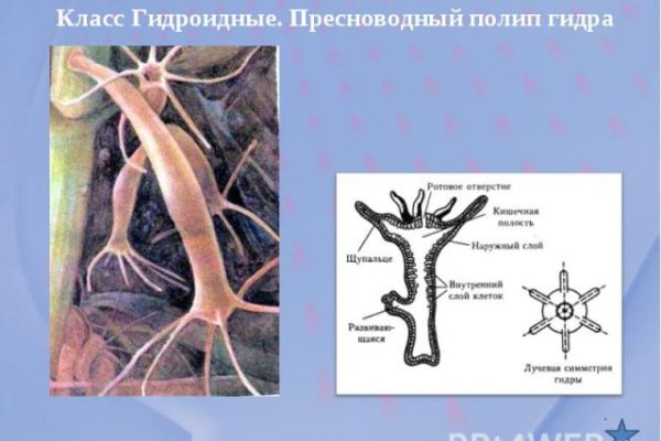 Как оплатить заказ в кракене