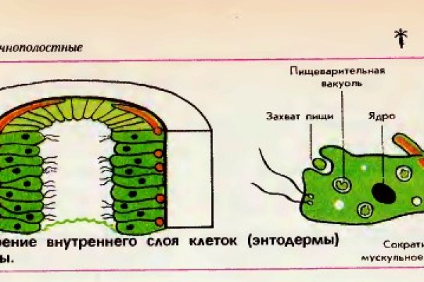 Кракен тор ссылка онион