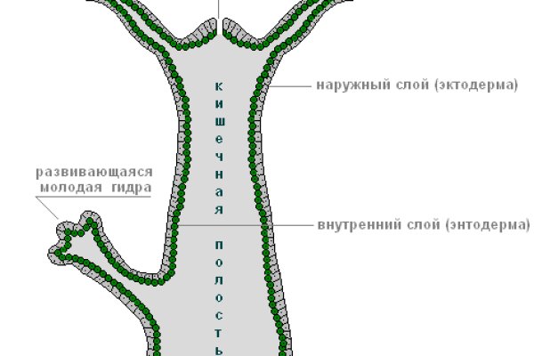 Зеркало вход кракен